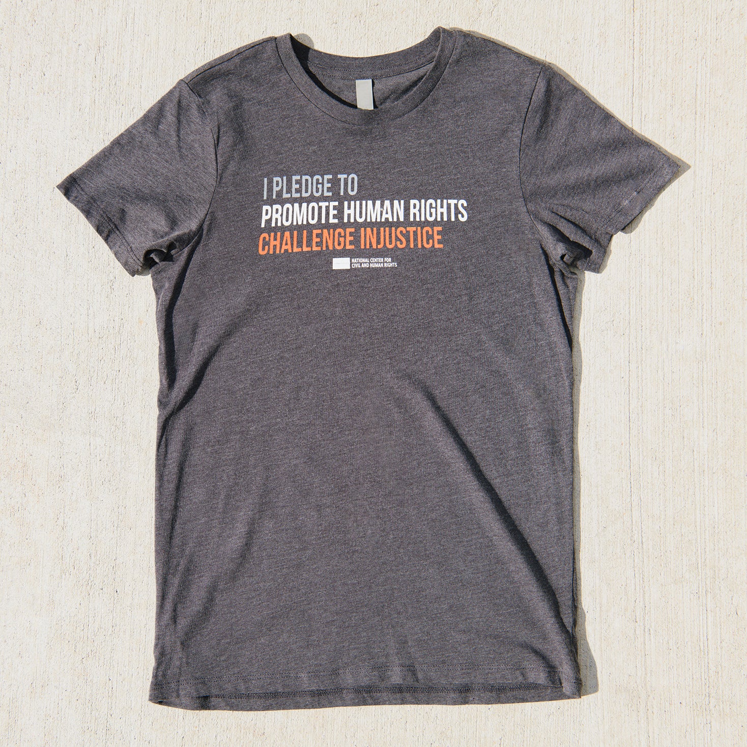Pledge Ladies Tee