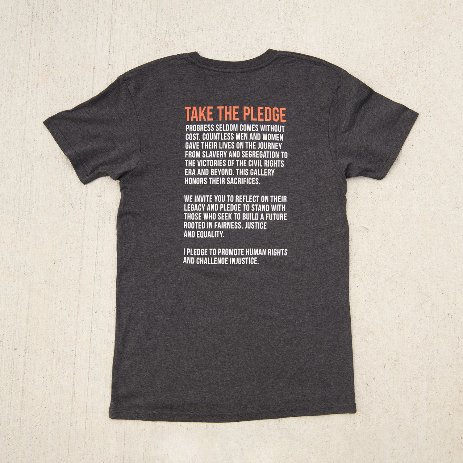 Pledge Adult Tee